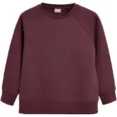 Next Sweatshirt borgonha
