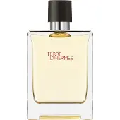 Hermès Paris perfume Terre d'EDT 100 ml