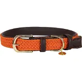 Kentucky Coleira De Cachorro Nylon Plaited