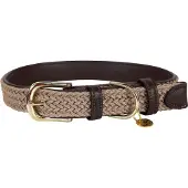 Kentucky Coleira De Cachorro Nylon Plaited