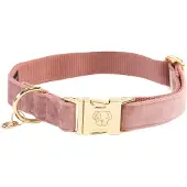 Kentucky Coleira De Cachorro Velvet