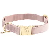 Kentucky Coleira De Cachorro Velvet
