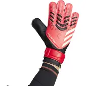 Adidas Luvas De Goleiro Predator Training