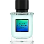 David Beckham True Instinct - EDP - Volume: 50 ml