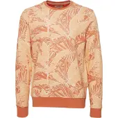 Blend Sweatshirt castanho ferrugento / laranja / laranja claro