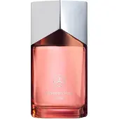 Mercedes-benz Land EDP M 100 ml recarregável