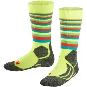 Falke Meias Sk2 Stripe