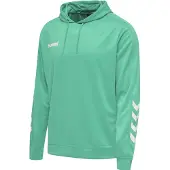 Hummel Moletom Com Capuz Promo Poly