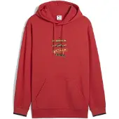 Puma Moletom Com Capuz Road To Unity Graphic