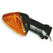 Vicma Intermitente 4433827 Front Right