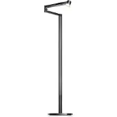 Dyson Candeeiro de pé Solarcycle Morph (preto)