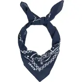 Levis Accessories Cachecol Paisley