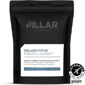 Pillar Performance Colagénio Em Pó Repair 260g