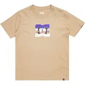 Dc-shoes Camiseta De Manga Curta Metallic Star