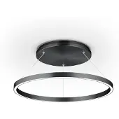 Knapstein Luminária pendente Lisa-D LED, em forma de anel, preta