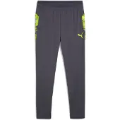 Puma Calças de desporto 'IndividualCUP' cinzento / lima
