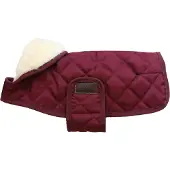 Kentucky Casaco Para Cachorro Original