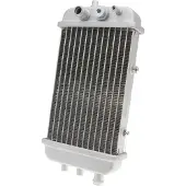 101 Octane Radiador 34399