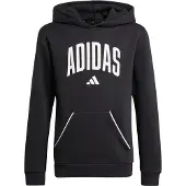 Adidas Moletom Com Capuz Seasonals Essentials Collegiate Typography