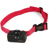 Petsafe Coleira De Cachorro Controller Anti-bark