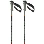 Salomon Bastões Polar Pro S3