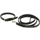 Equithème Trela Para Cão Max