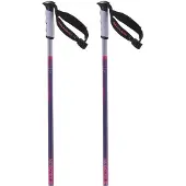 Salomon Bastões Arctic S3 Xl