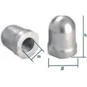 Tecnoseal Porca Do Eixo Renault Couach