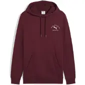 Puma Moletom Com Capuz Class Graphic