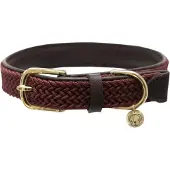 Kentucky Coleira De Cachorro Nylon Plaited