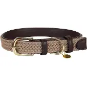 Kentucky Coleira De Cachorro Nylon Plaited