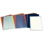 Esselte Dossier PVC transparente | Fólio 100 unidades