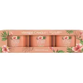 Yankee candle Conjunto de velas de vidro tropicais Breeze - 37,0g