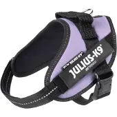 Julius-K9 Arnês Para Cães Idc Power Mini