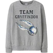 TWO SOON Sweatshirt 'Harry Potter' cinzento / mistura de cores