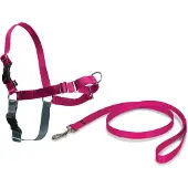 Petsafe Arnês Para Cães Easy Walk
