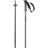 Salomon Bastões Polar Pro