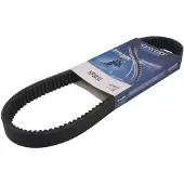 DAYCO Correia De Transmissão Hp3038