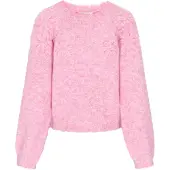 IZIA Pullover 'Fashion Look' rosado