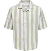 Only & Sons Camisa 'Tes' castanho