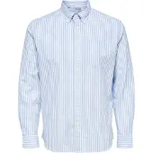 Selected Camisa De Manga Comprida Regrick Oxford Flex
