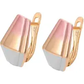 NAEMI Brincos ouro / ouro rosa