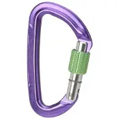 Wild Country Mosquetão Session Screw Gate