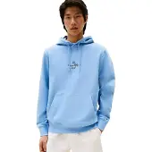 Tommy Hilfiger Moletom Com Capuz Outline Flag Script