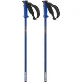 Salomon Bastões Polar Pro