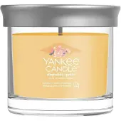 Yankee candle Tumbler Slopeside Spritz 122 g