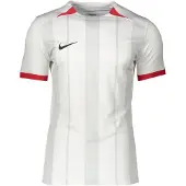 Nike Camisola de futebol cinzento claro / branco