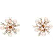 NAEMI Brincos ouro / transparente / branco