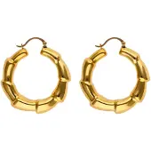 NAEMI Brincos ouro