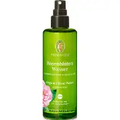 Primavera Flor Pink Água Bio 100 ml